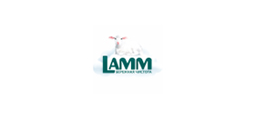 LAMM